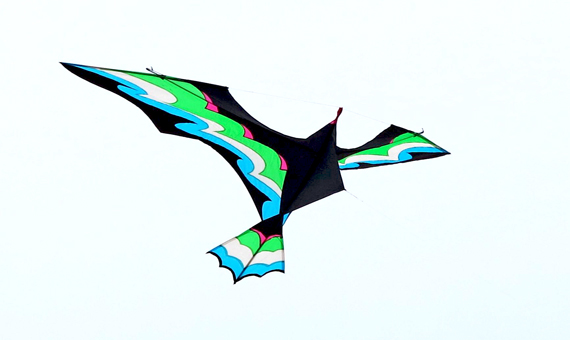 Hong_Kong_Kites__6