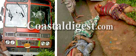 Illegal_Cattle_Transport6