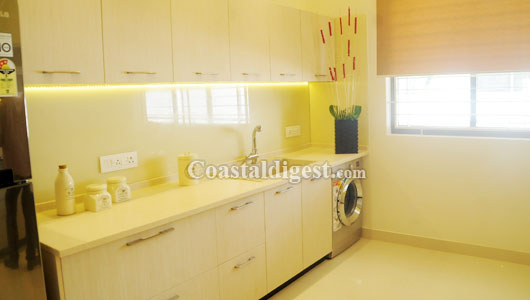 album land trades  2