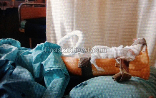 UT khader service  1