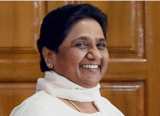 Resizer_15959189341640.jpg Resizer_15959189341640.jpg