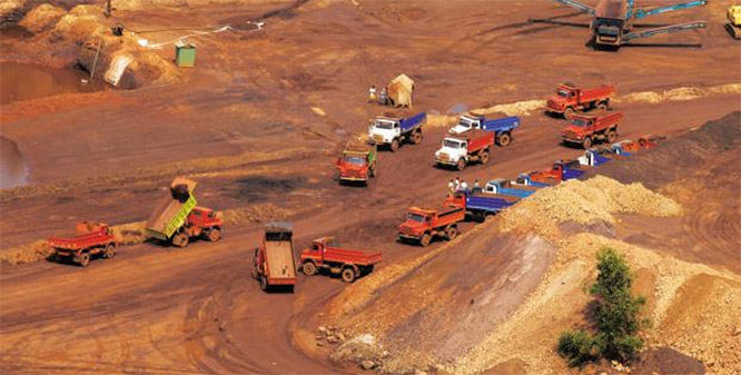 forest.jpg forest.jpg