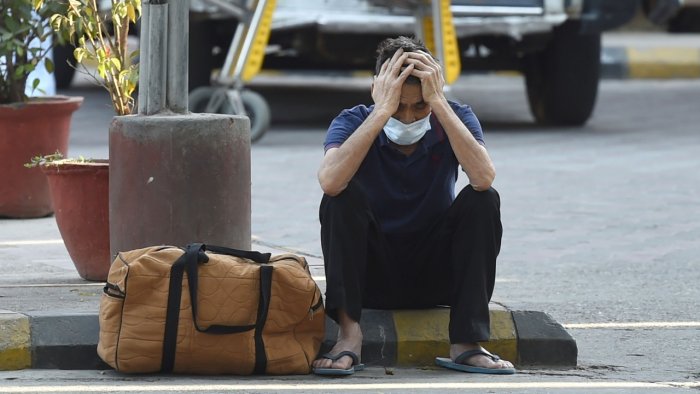 coviddevastate.jpg coviddevastate.jpg