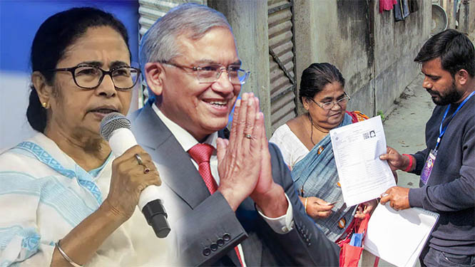 bengal.jpg bengal.jpg