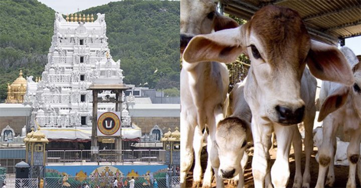 tirupathi.JPG