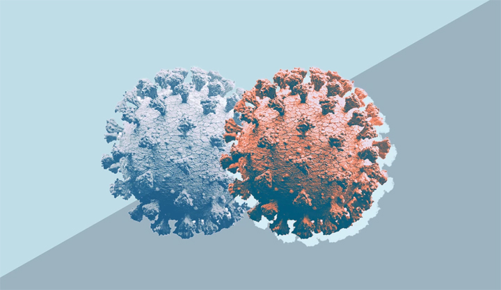 coronaverient.jpg coronaverient.jpg