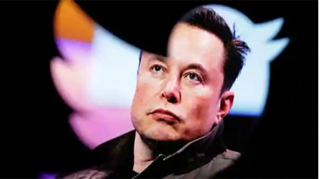musk.jpg
