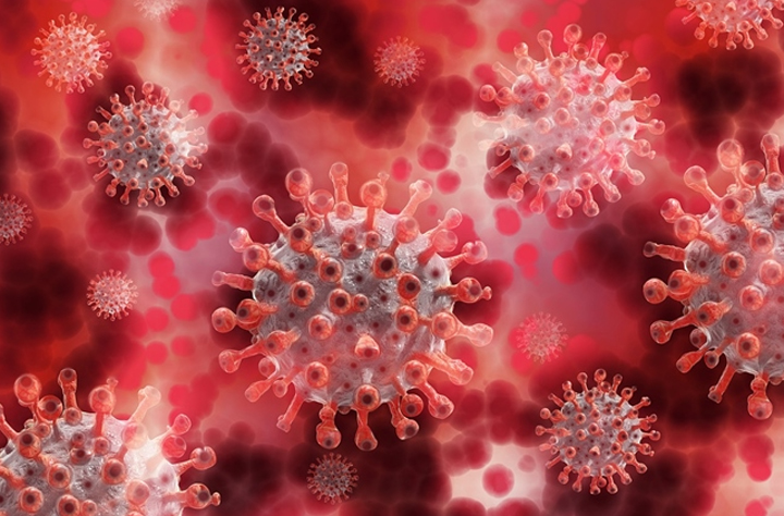 coronavirus.JPG