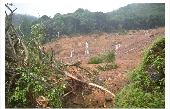 Resizer_15967763756440.jpg Resizer_15967763756440.jpg