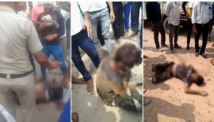 Resizer_15962670473480.jpg Resizer_15962670473480.jpg